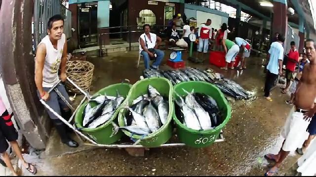 Yellow fin tuna
