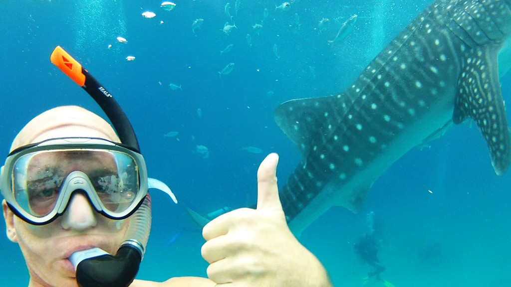 Whale Shark me Thumbs up