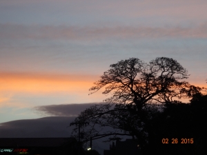 DSC00056