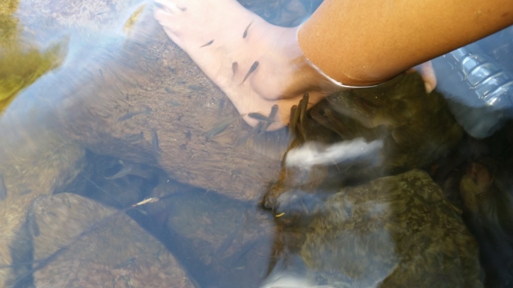 20150515_153257