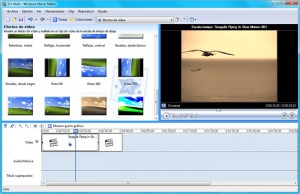 windows movie maker