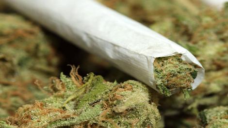 joint