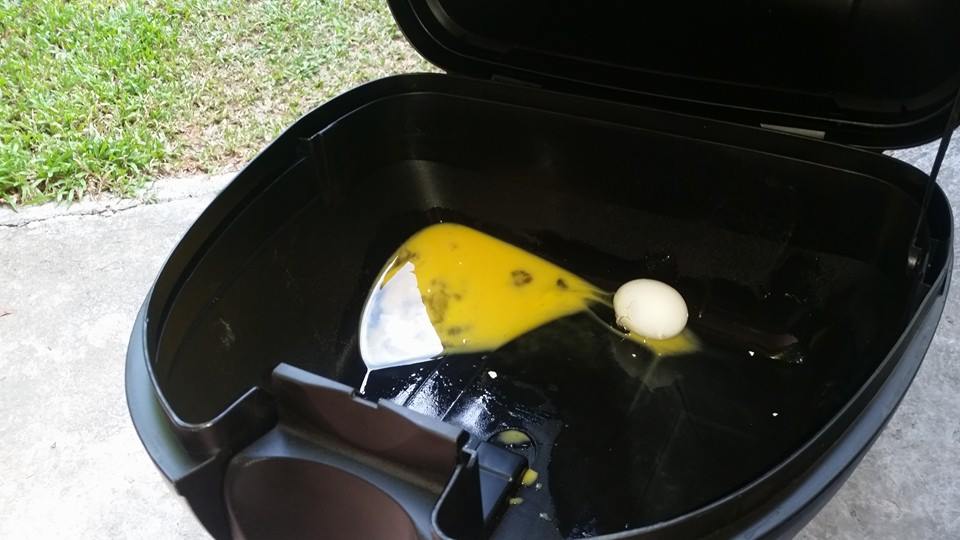 rouser top box eggs mishap