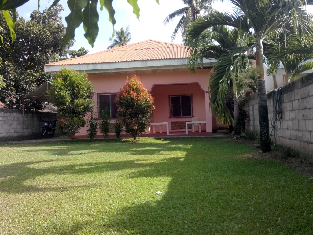 Pink House